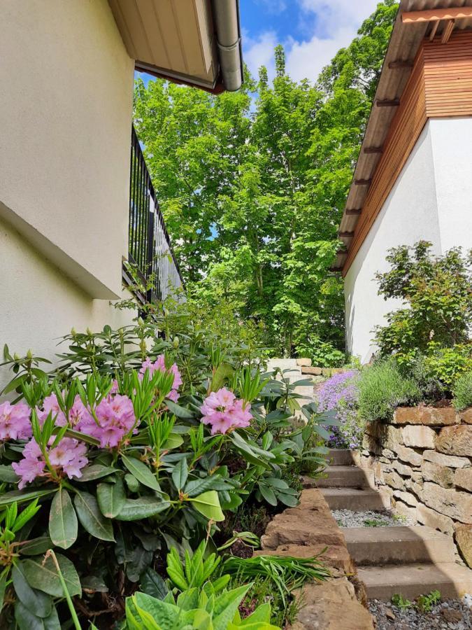 Beas Wohnen Apartment Sinsheim Luaran gambar